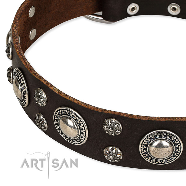 Daily walking decorated dog collar of top notch full grain leather