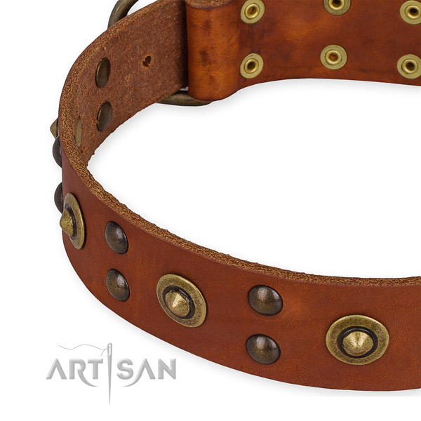 Full grain natural leather collar with reliable traditional buckle for your impressive four-legged friend