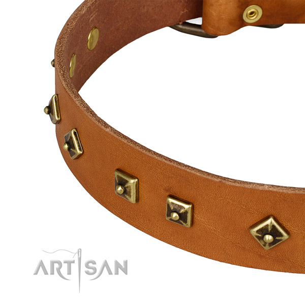 Exquisite full grain genuine leather collar for your lovely four-legged friend