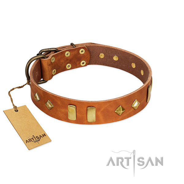 Fancy walking reliable natural leather dog collar with embellishments