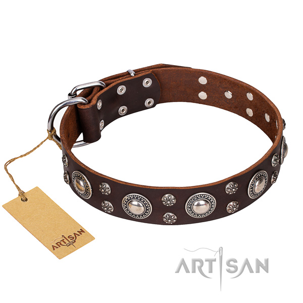 Fancy walking dog collar of finest quality natural leather with studs