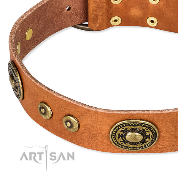 Genuine leather dog collar made of best quality material with studs