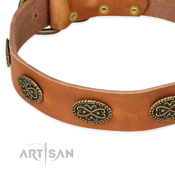 Awesome full grain leather collar for your beautiful dog