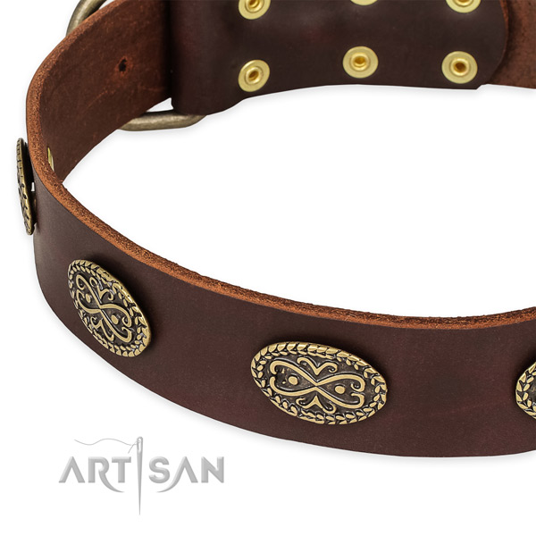 Stylish design genuine leather collar for your impressive canine
