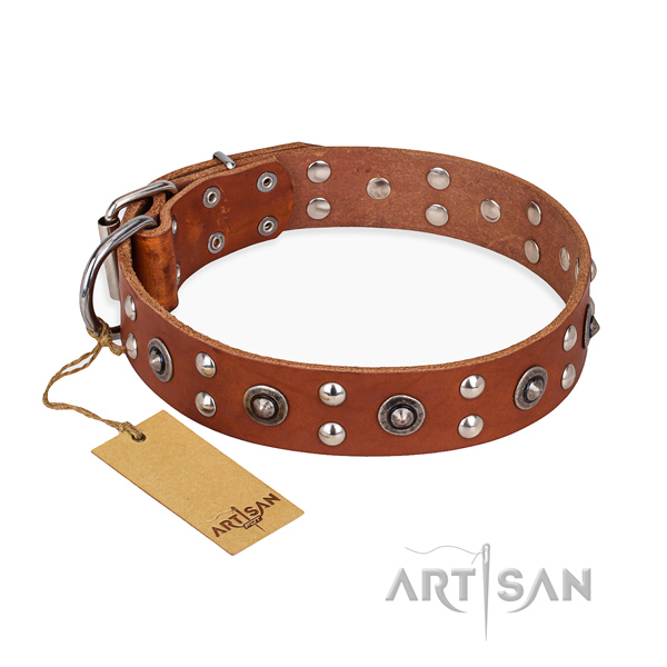 Walking extraordinary dog collar with corrosion proof hardware