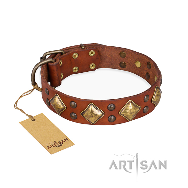 Stylish walking handmade dog collar with rust-proof fittings