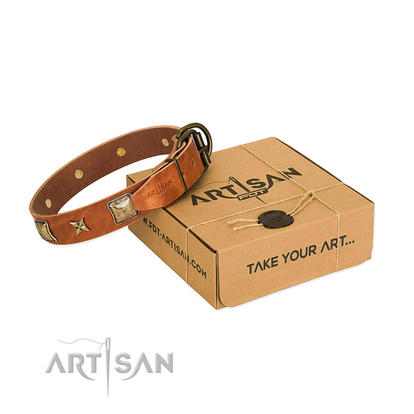 Exceptional full grain leather collar for your lovely canine