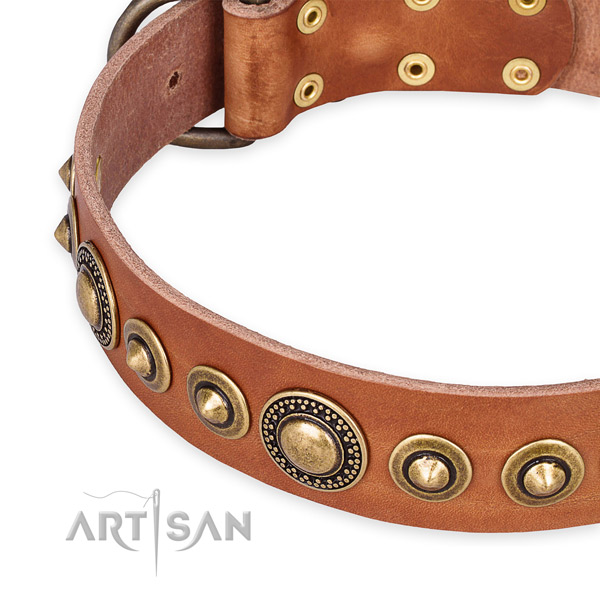 Strong full grain leather dog collar crafted for your beautiful canine