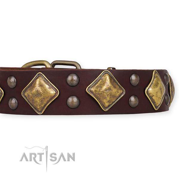 Genuine leather dog collar with exquisite strong studs