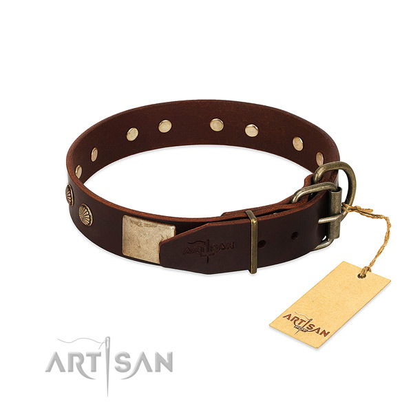 Rust resistant traditional buckle on basic training dog collar