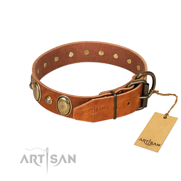 Fancy walking genuine leather dog collar