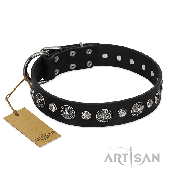 Fine quality natural leather dog collar with stylish embellishments