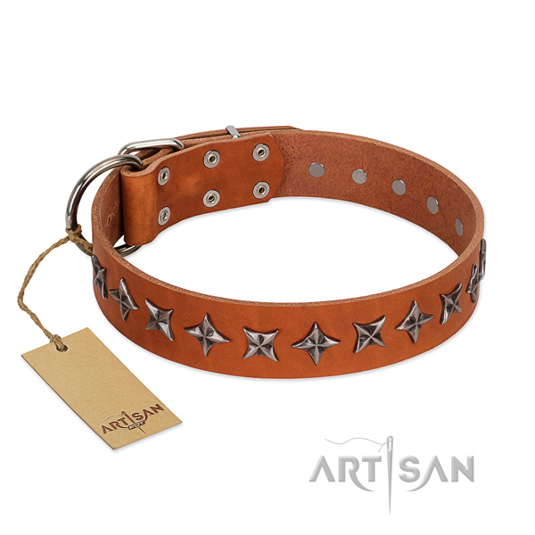 Comfy wearing dog collar of quality leather with adornments