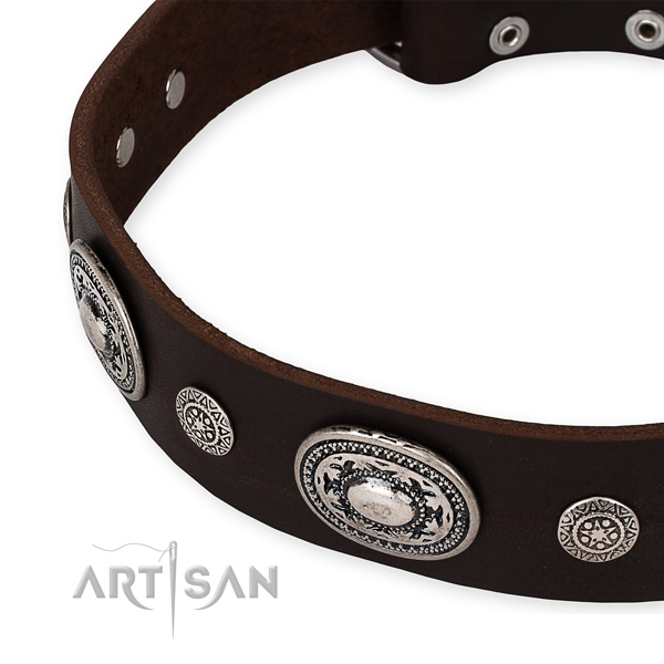Best quality leather dog collar crafted for your attractive doggie