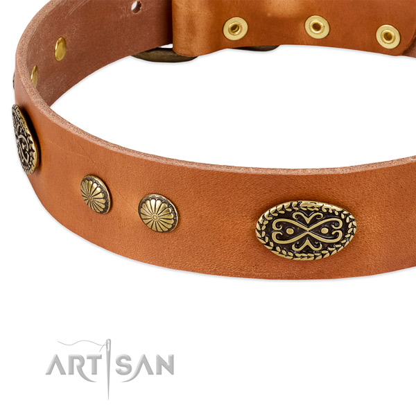 Reliable adornments on Genuine leather dog collar for your doggie