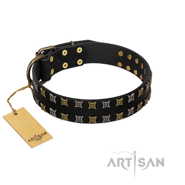 Top rate full grain leather dog collar with embellishments for your canine