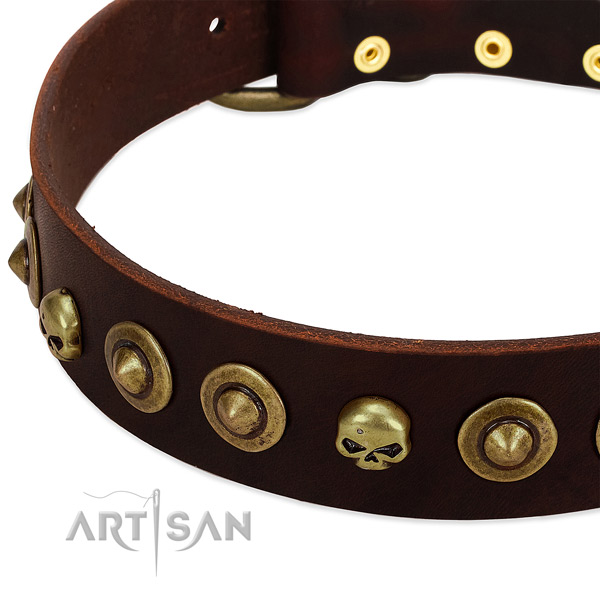 Unique embellishments on full grain natural leather collar for your four-legged friend