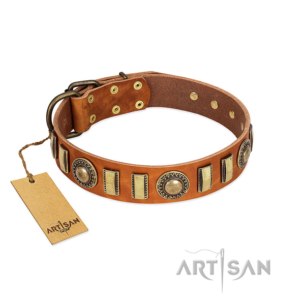 Top notch natural leather dog collar with rust resistant D-ring