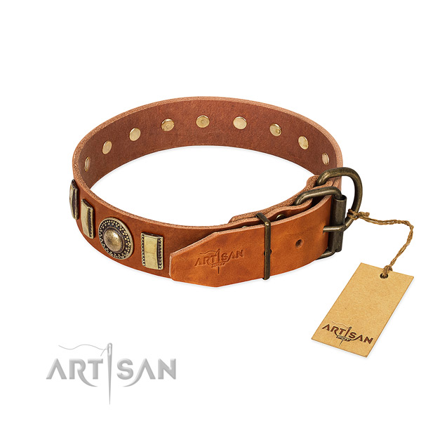 Embellished full grain natural leather dog collar with corrosion resistant D-ring