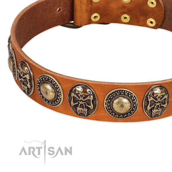Reliable hardware on natural leather dog collar for your canine