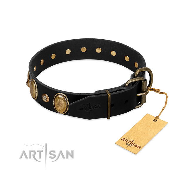 Corrosion proof traditional buckle on full grain natural leather collar for walking your four-legged friend