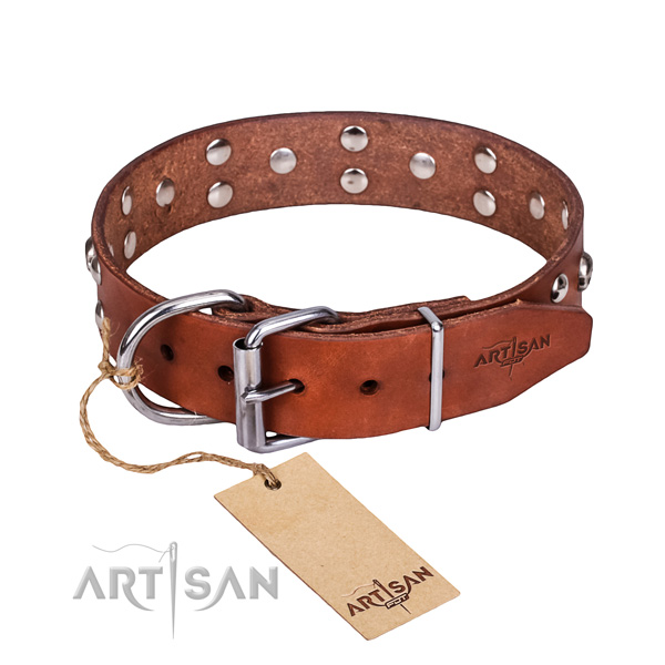 Daily use dog collar of finest quality genuine leather with studs