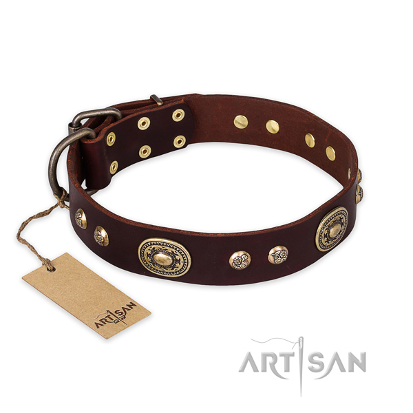 Awesome full grain natural leather dog collar for everyday walking