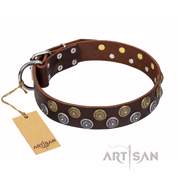 Easy wearing dog collar of reliable leather with embellishments