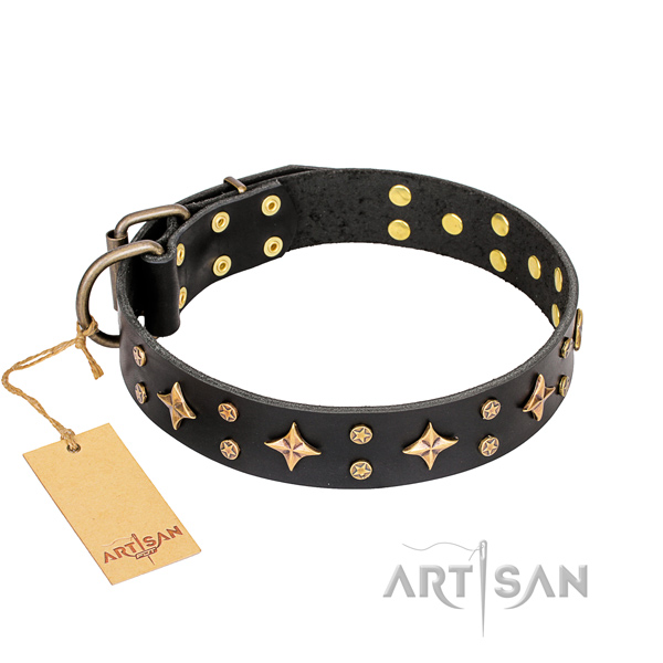 Comfy wearing dog collar of top notch full grain leather with studs