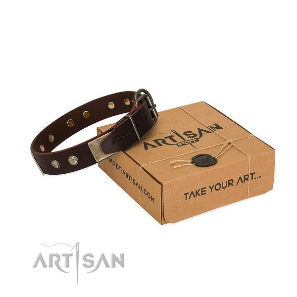 Reliable traditional buckle on dog collar for comfortable wearing