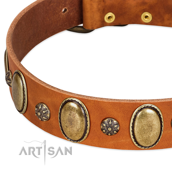 Fancy walking reliable full grain genuine leather dog collar