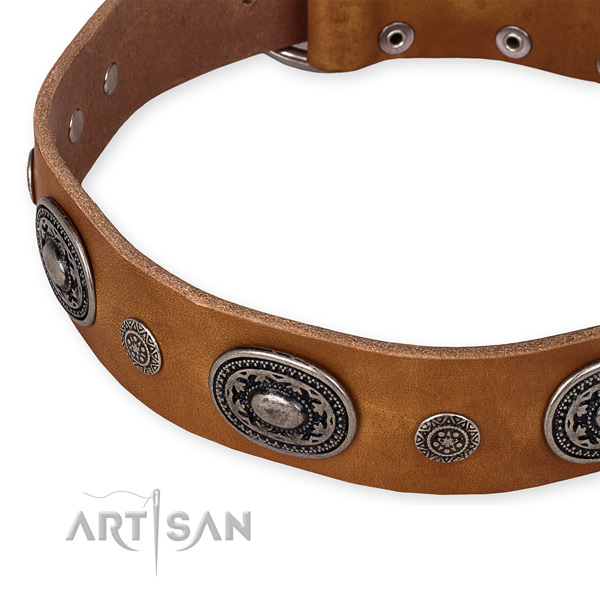 Reliable genuine leather dog collar handcrafted for your handsome dog
