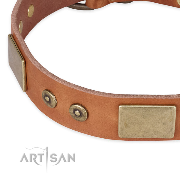 Strong fittings on full grain natural leather dog collar for your four-legged friend