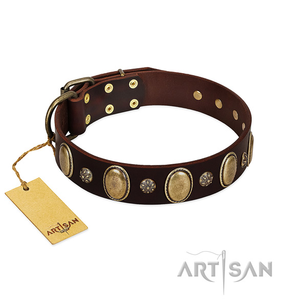 Walking quality leather dog collar with decorations
