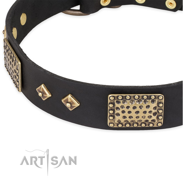 Rust resistant embellishments on leather dog collar for your four-legged friend