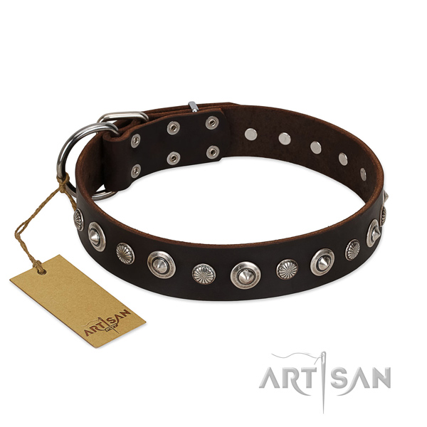 Top notch genuine leather dog collar with awesome decorations