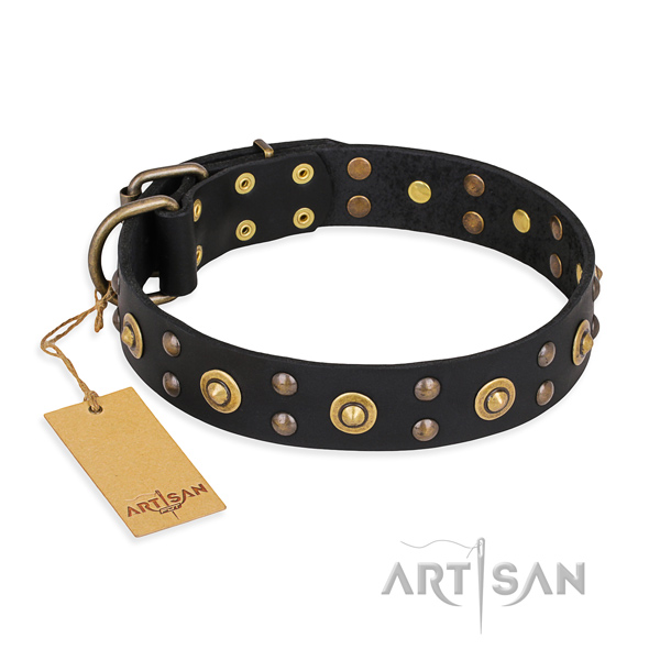 Comfortable wearing stylish design dog collar with reliable fittings