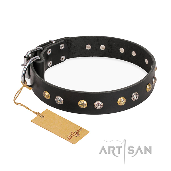 Daily use unique dog collar with corrosion resistant hardware