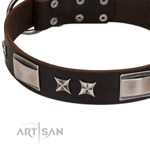Adjustable collar of genuine leather for your impressive canine