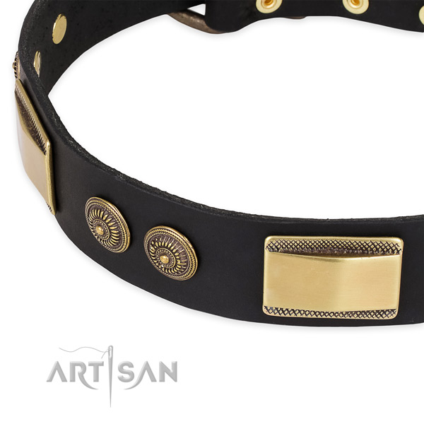 Stylish leather collar for your stylish doggie