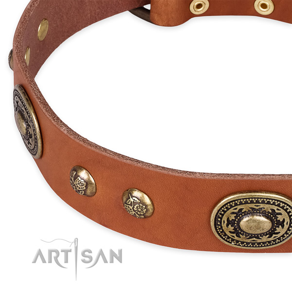 Stylish design leather collar for your lovely canine