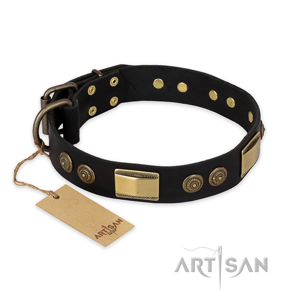 Convenient full grain leather dog collar for everyday use