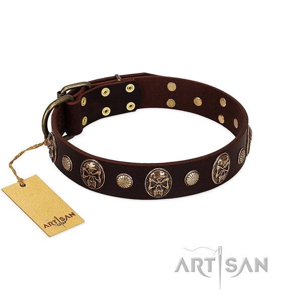Exceptional full grain leather dog collar for walking