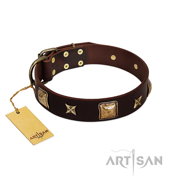 Studded full grain leather collar for your dog