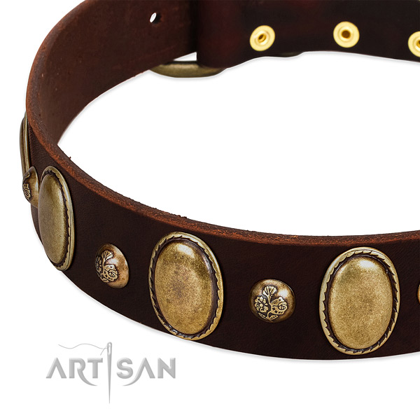 Full grain leather dog collar with unusual embellishments