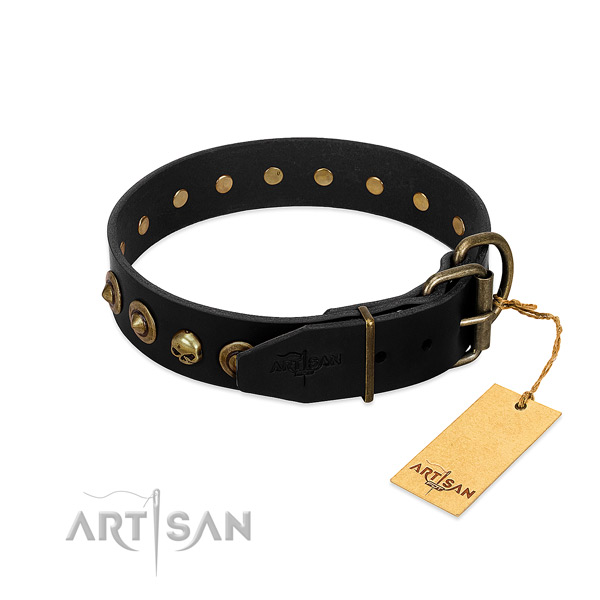 Natural leather collar with unique adornments for your four-legged friend