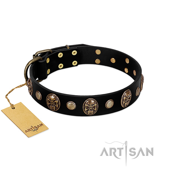 Full grain genuine leather dog collar of gentle to touch material with impressive decorations