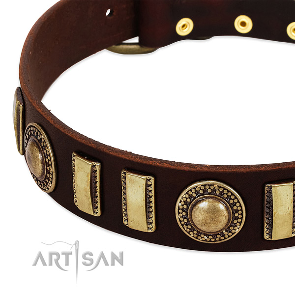 High quality full grain genuine leather dog collar with strong fittings