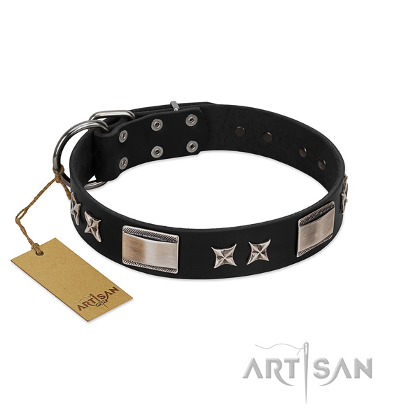 Designer dog collar of leather