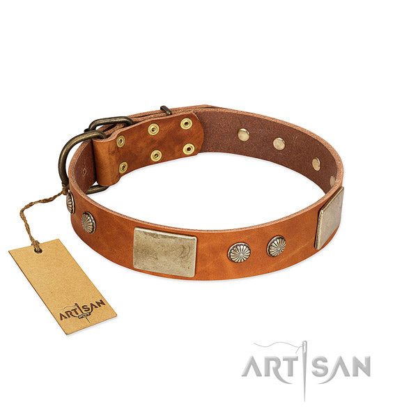 Easy adjustable leather dog collar for walking your pet